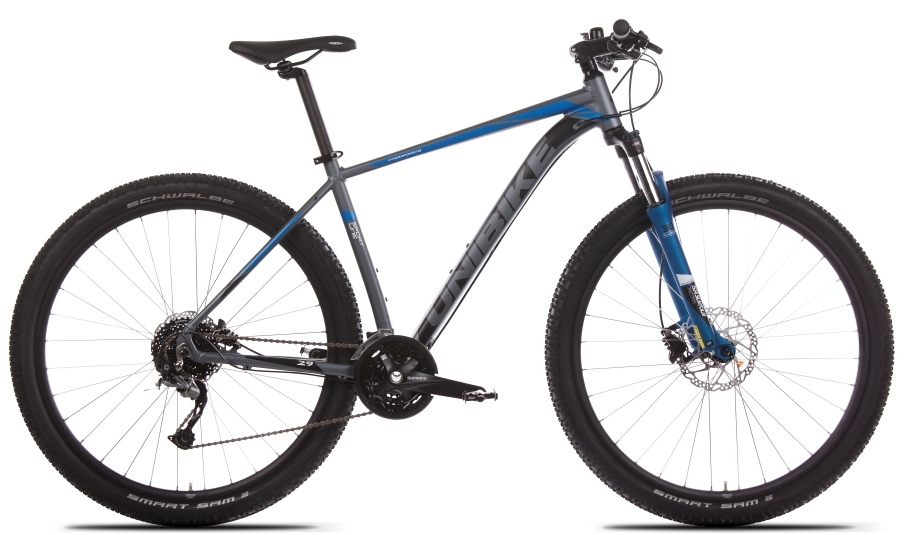 Fusion 29